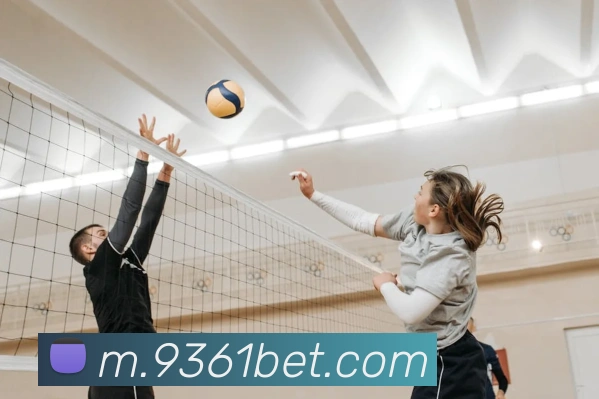 bet365com平台生态图